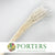 Grass 'Blades' (Bleached) (DRY) (100g)