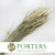 Wheat (Tricitum) Grass DRY