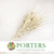 Amaranthus 'Flower' (Bleached) 55cm (x10)