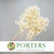 Hydrangea Flower (x2) (Bleached) (DRY)