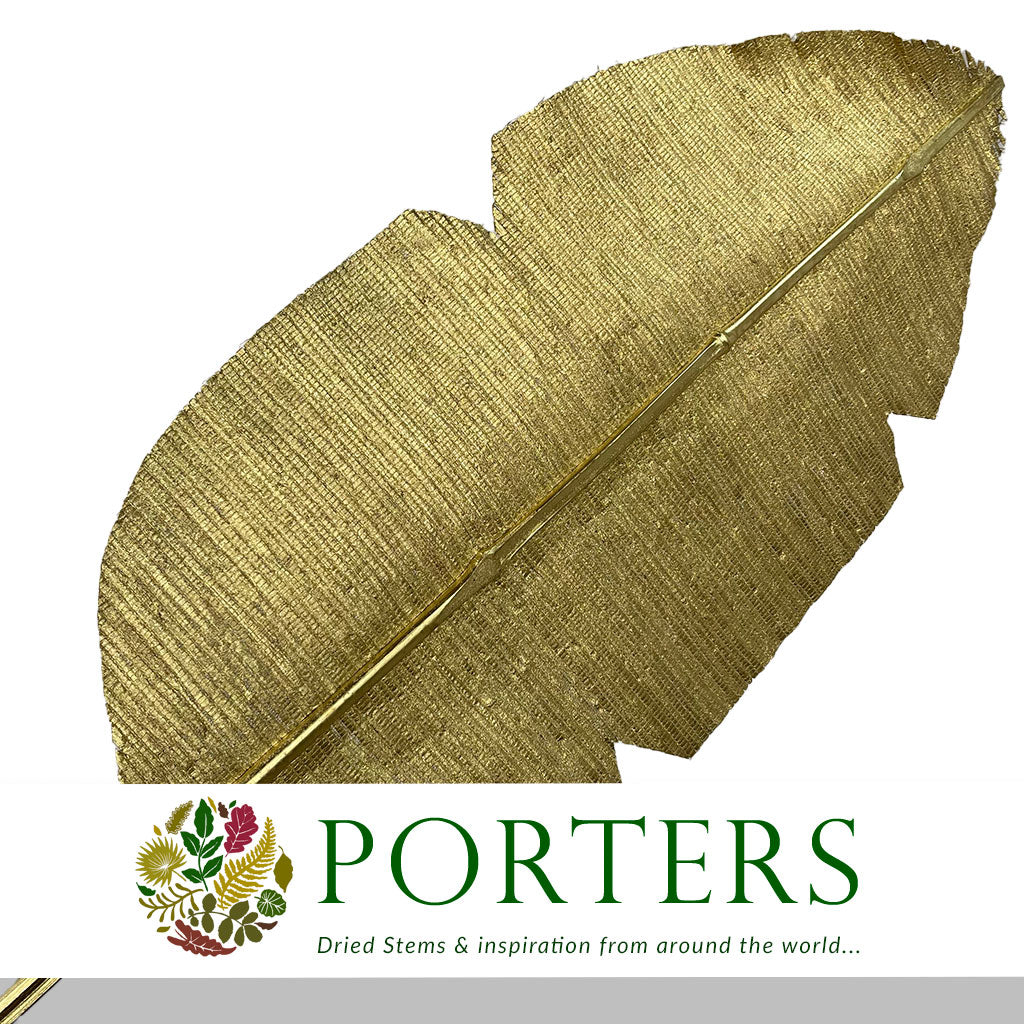 Artificial &#39;Bamboo Leaf&#39; (Gold) (DRY) 140cm (Per Stem)