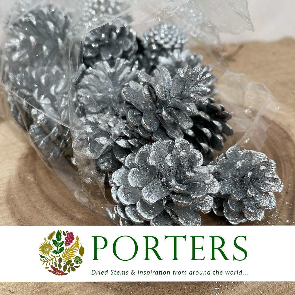Nigra Silver Glitter Cones DRY Painted and Glitter 500g