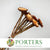 Protea 'Susannae Rosette' (DRY) (x10)