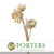 Artichoke (Bleached) 1.2-1.5m (DRY) (per stem)