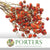 Rose Hips 'Dried' (x10)