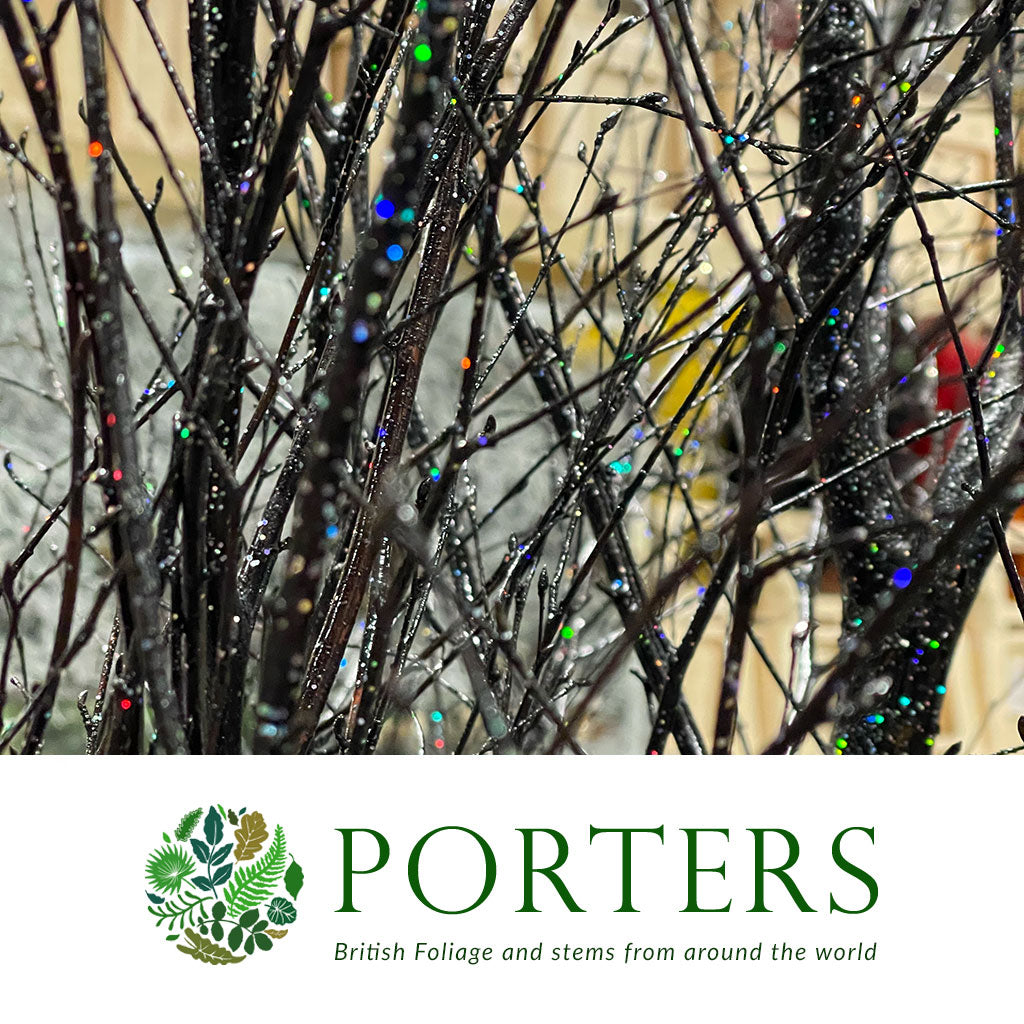 TREE &#39;BLACK&#39; with (Multi Glitter) (Various Heights) (Painted)