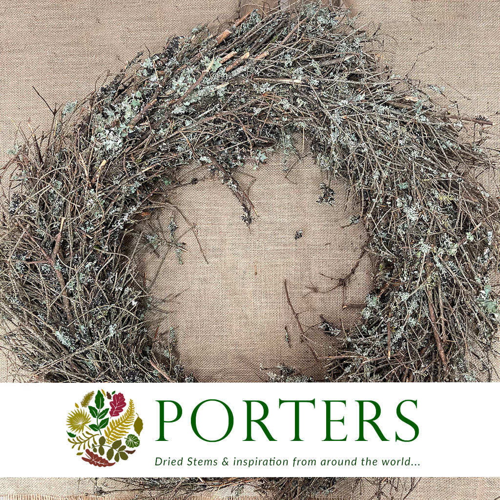 Wreath &#39;Lichen Twig&#39; (Wild) (Lichen) (DRY) (Various Sizes)