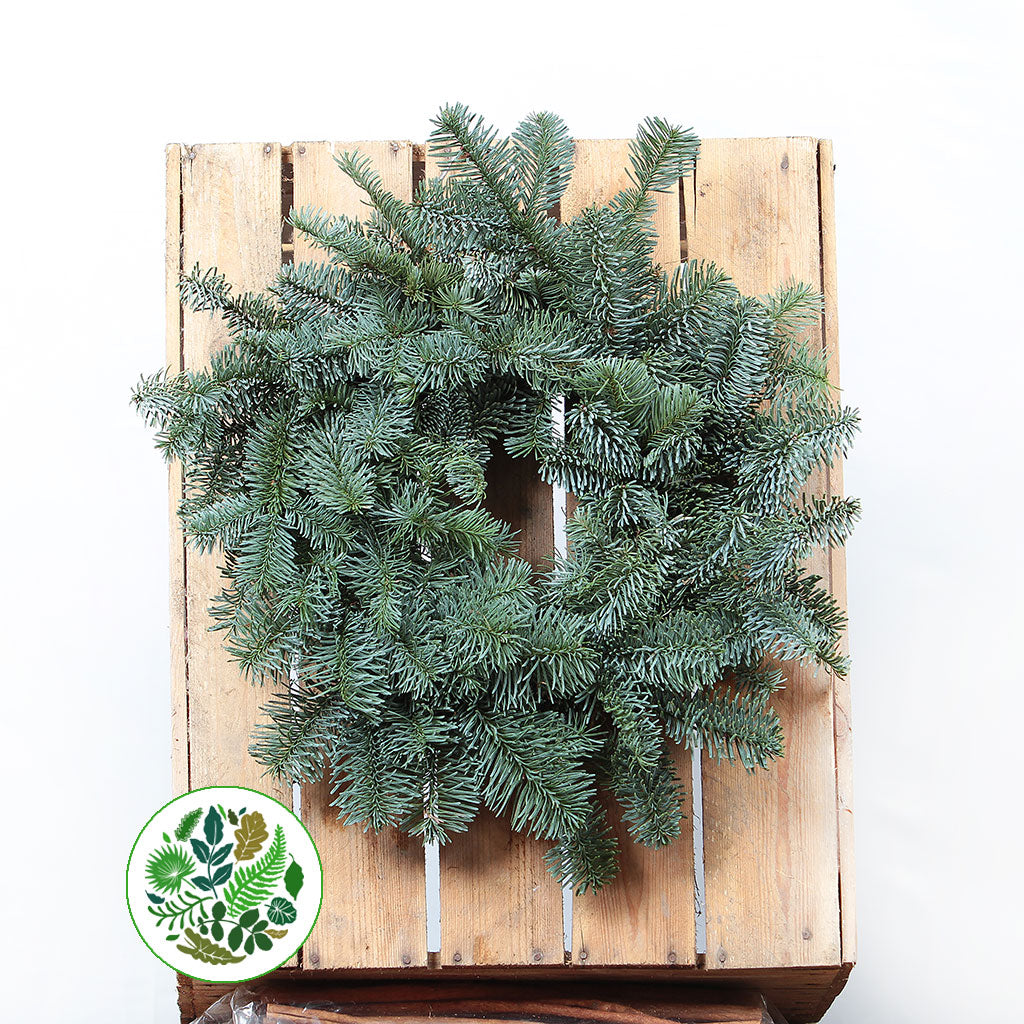 10in &#39;Blue Pine&#39; Wreath (25cm) (Mossed)
