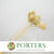 Ammi 'Dill' (Bleached) (DRY) 55cm (x5) (Various Sizes)