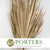 Palm 'Washingtonia' (DRY) XL 2m (Per Stem)