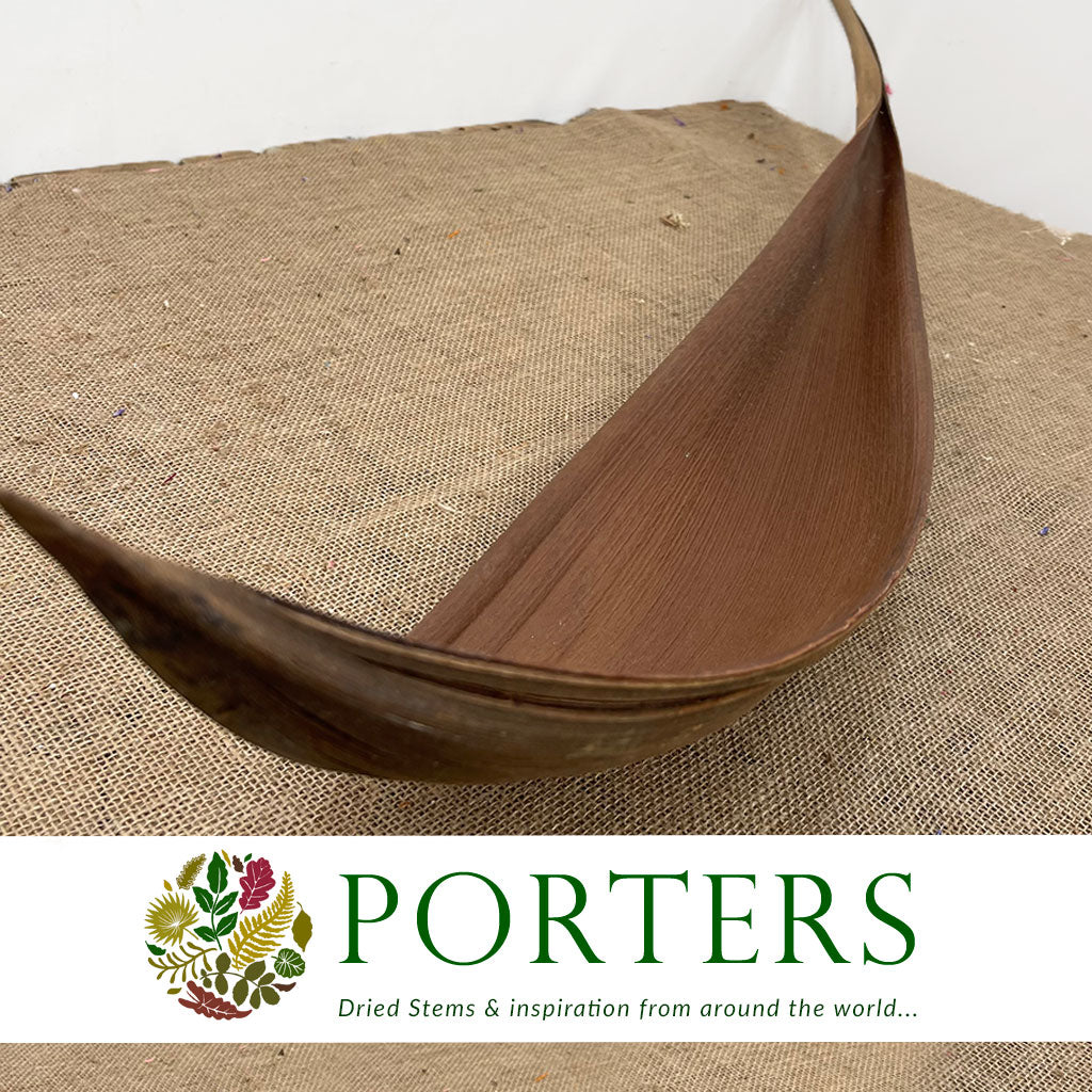 Palm &#39;Rind&#39; (Extra Long) (Natural) 120cm