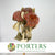 Protea 'Banksia' (Coccinea) (DRY) (x3)