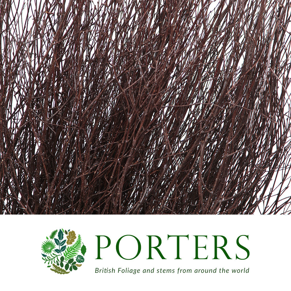 TWIG &#39;BROWN-Natural Brown&#39; (Painted)