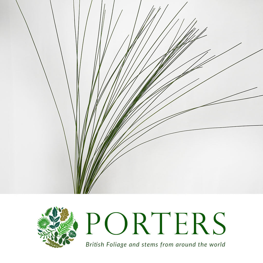 Grass &#39;Flexi Grass&#39; 90cm (x45)