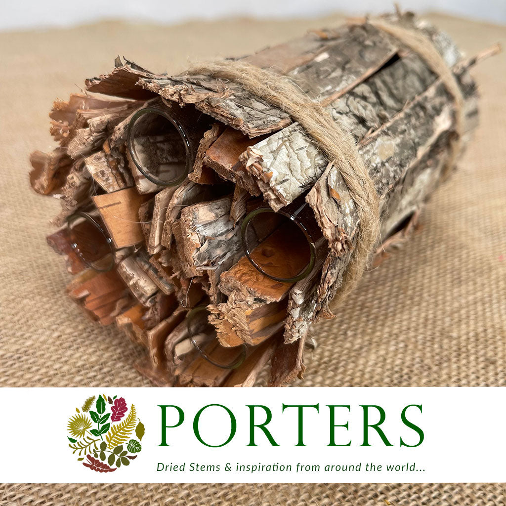 Birch Bark &#39;Pot&#39; (4 test Tubes) (D10cm x H16cm)