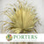 Palm 'Washingtonia' (Painted) (Gold) 160cm (Per stem)