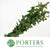 Snowberry 'Foliage' (Cultivated E) (x10)