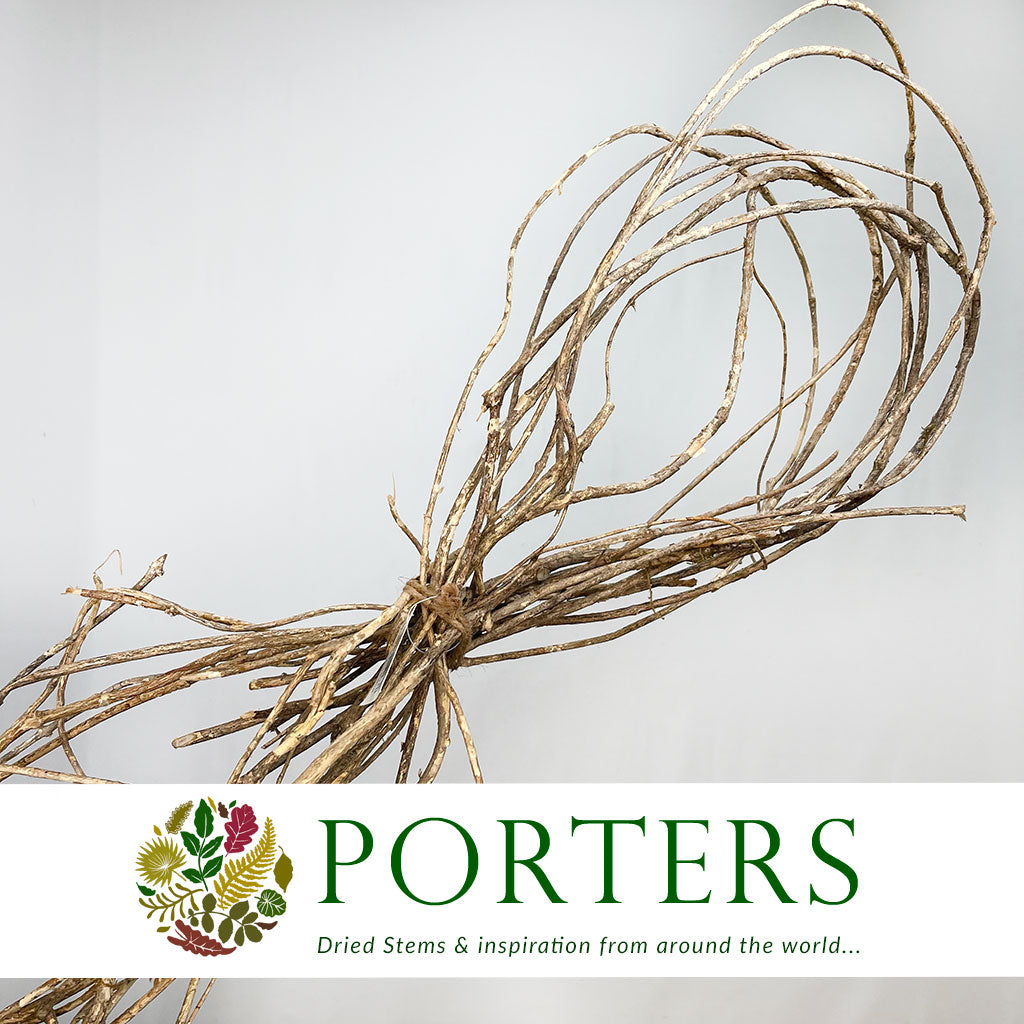 Bark 'Rope' (Climbing Bark Rope) (DRY) (500g) - Porters Foliage Ltd