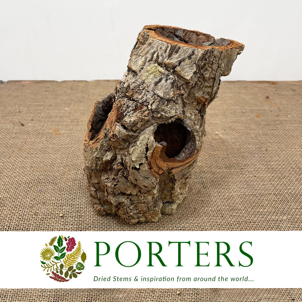 Cork Bark &#39;Cylinders&#39; (Small Round) (DRY)