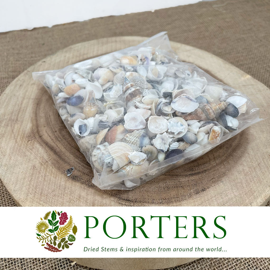 Shells (Basic Mix) 500g