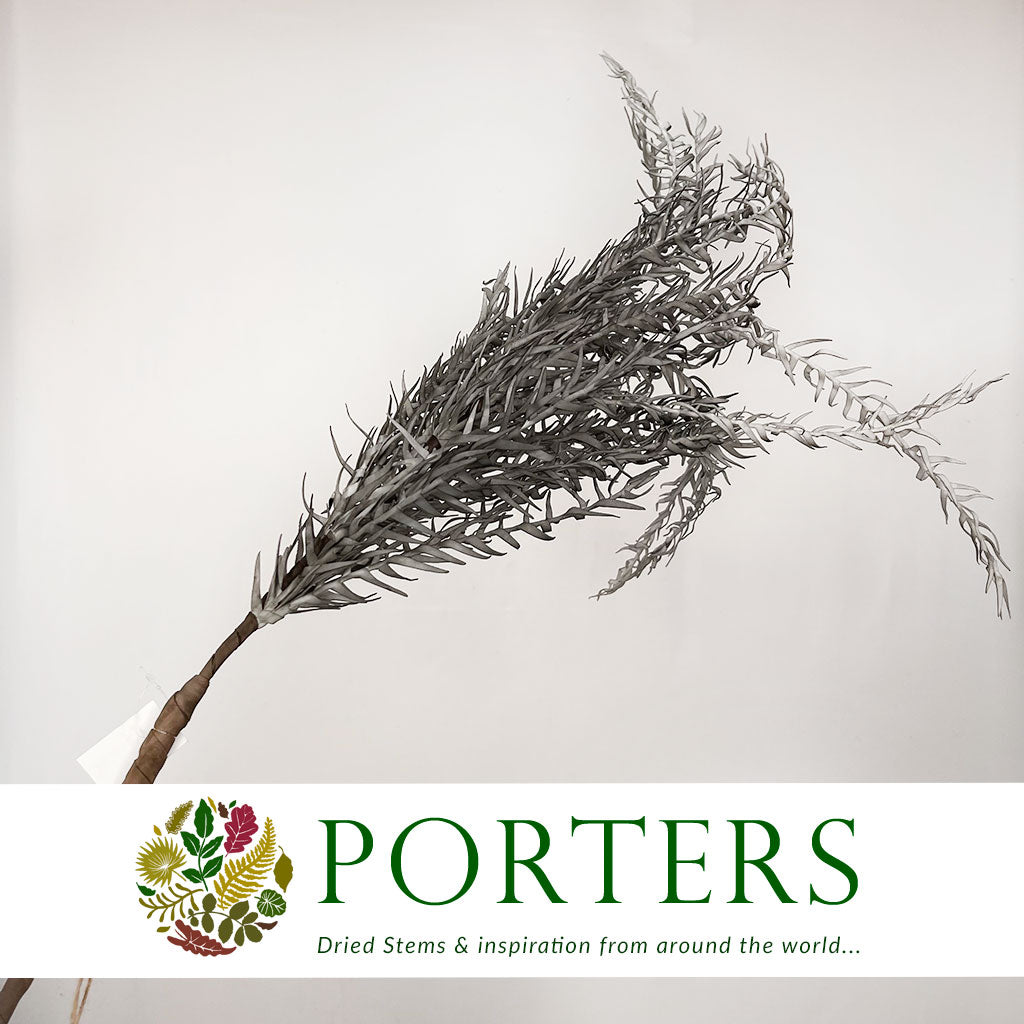 Artificial &#39;Parona Leaf&#39; (Single Stem) (L.126cm)