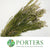 Heather (Erica) 'White' 60cm Italian