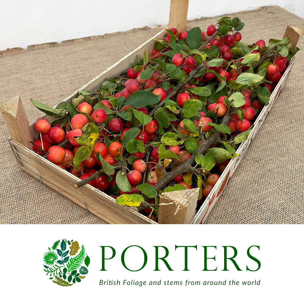 Apples &#39;Crab Apples&#39; on stems (Wooden Crate)