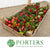 Apples 'Crab Apples' on stems (Wooden Crate)