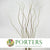 Salix 'Twisted Willow' 80-100cm (x10)