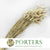 Grass 'Phalaris' (Natural) (DRY) 60cm