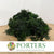 Moss 'Erica' (Green) (DRY) (500g)