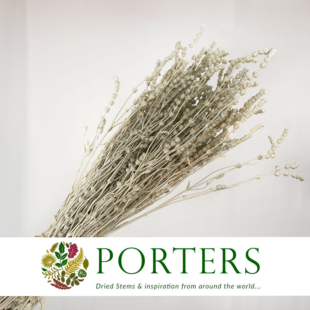 Lavender &#39;Flower&#39; (Natural) (DRY) 45cm (100g)