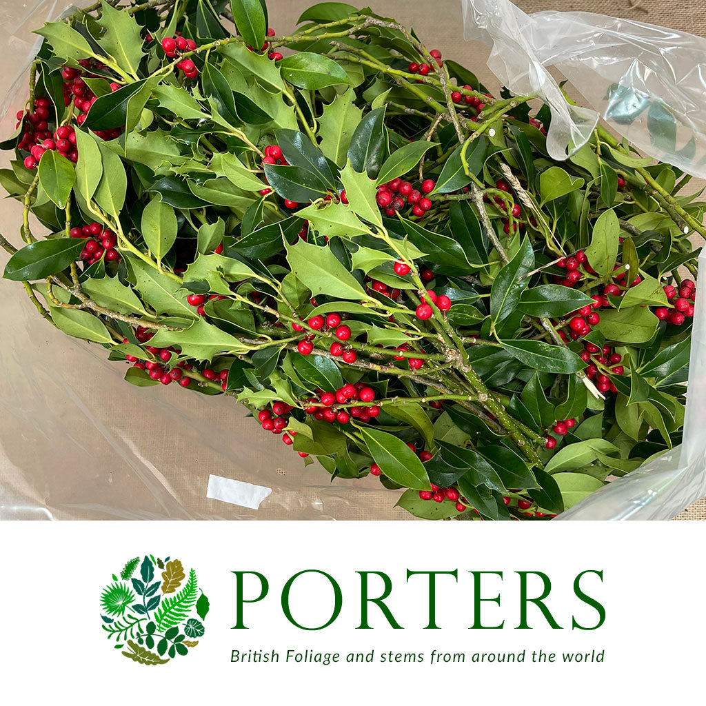 Holly Green Bags (3Kg)