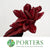 Sororoca Penca Flower DRY (Red)