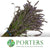Lavender 'Flower' (Wild) (Loose Bundle)