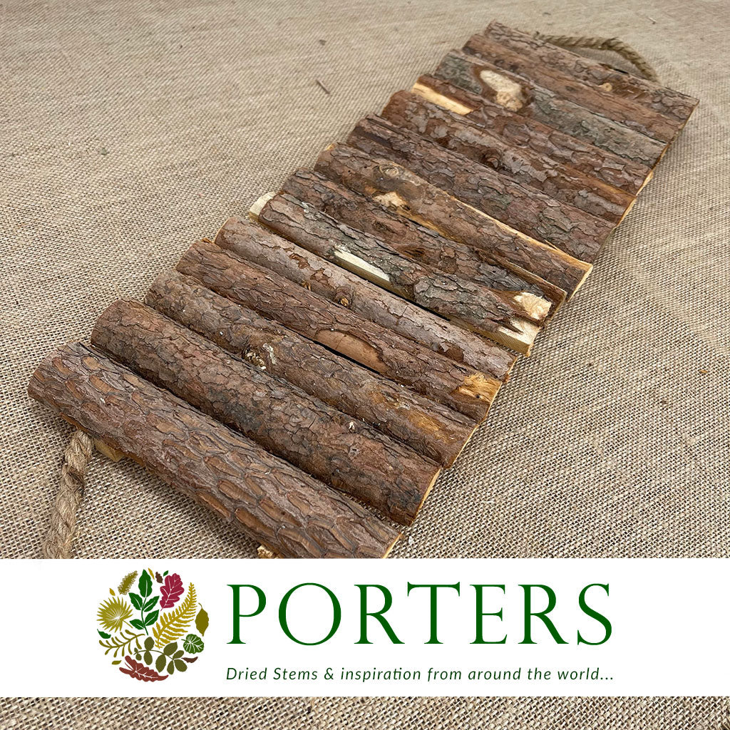 Bark &#39;Locust Plate&#39; (DRY) (L57cm x W20cm)