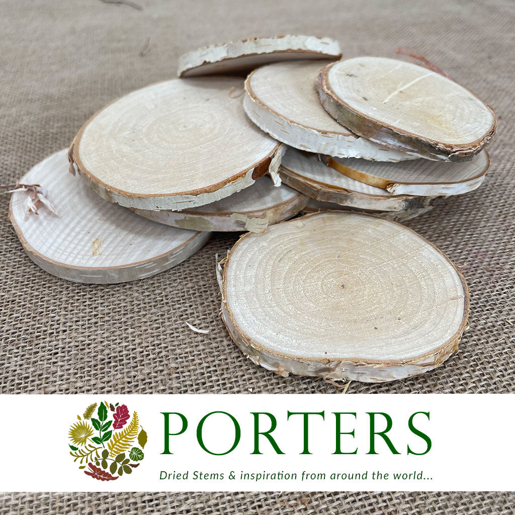 Birch &#39;Mini Slices&#39; (DRY) (Bag)