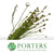 Rodanthe 'White' Flower (Fresh)
