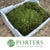 Moss 'Flat Moss' (Polystyrene Tray)