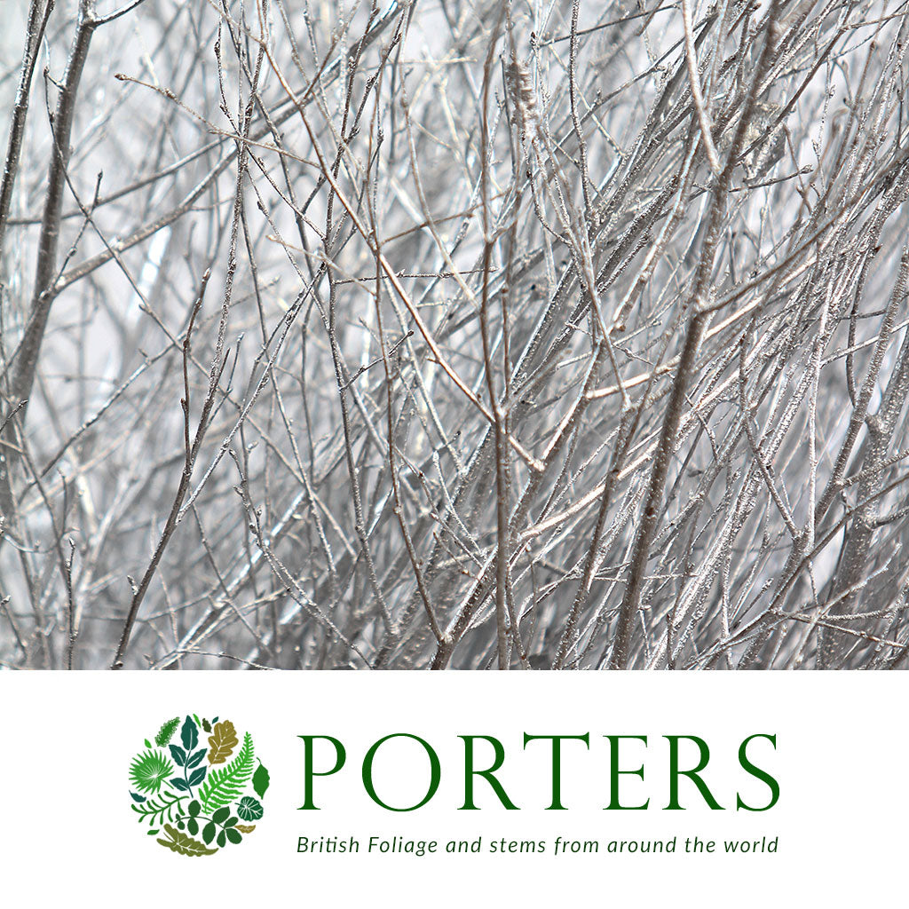 TALL TWIG &#39;SILVER&#39; (Painted)