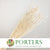 Poppy 'Heads' (Bleached) (Various Sizes) (DRY)