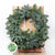 14in 'Blue Pine' Wreath (35cm) (Mossed)