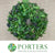 Ivy 'Berried Ivy Wreath' (12" or 30cm) (Mossed)