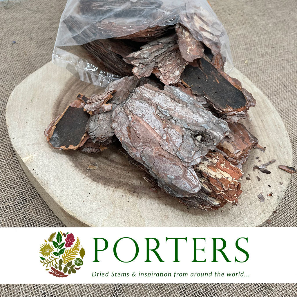 Bark &#39;Maritima&#39; (Natural) (DRY) (500g)