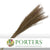 Grass 'Miscanthus' (DRY) 'White Motion' (x10)