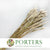 Celosia 'Dragon's Breath' (Natural) (DRY) 65cm