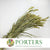 Grass 'Setaria' (DRY)