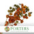 Physalis 'Orange' (Chinese Lanterns) (DRY)