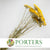 Achillea 'Parker' (Natural) (DRY) 60cm (x10)