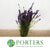 Lavender 'Hidicote' (200g)